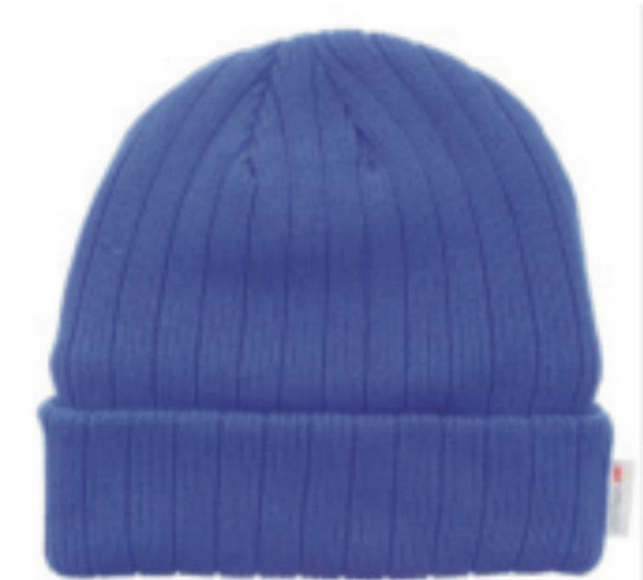 Royal Blue Thinsulate Lined Knit Beanie 0182-THIN-11