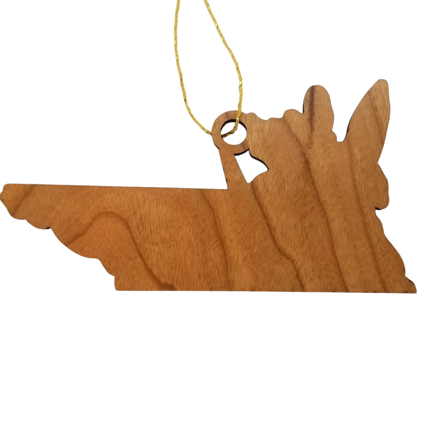 Tennessee Wood Ornament - TN State Shape with State Flowers Irises - Handmade Wood Ornament Made in USA Christmas Decor