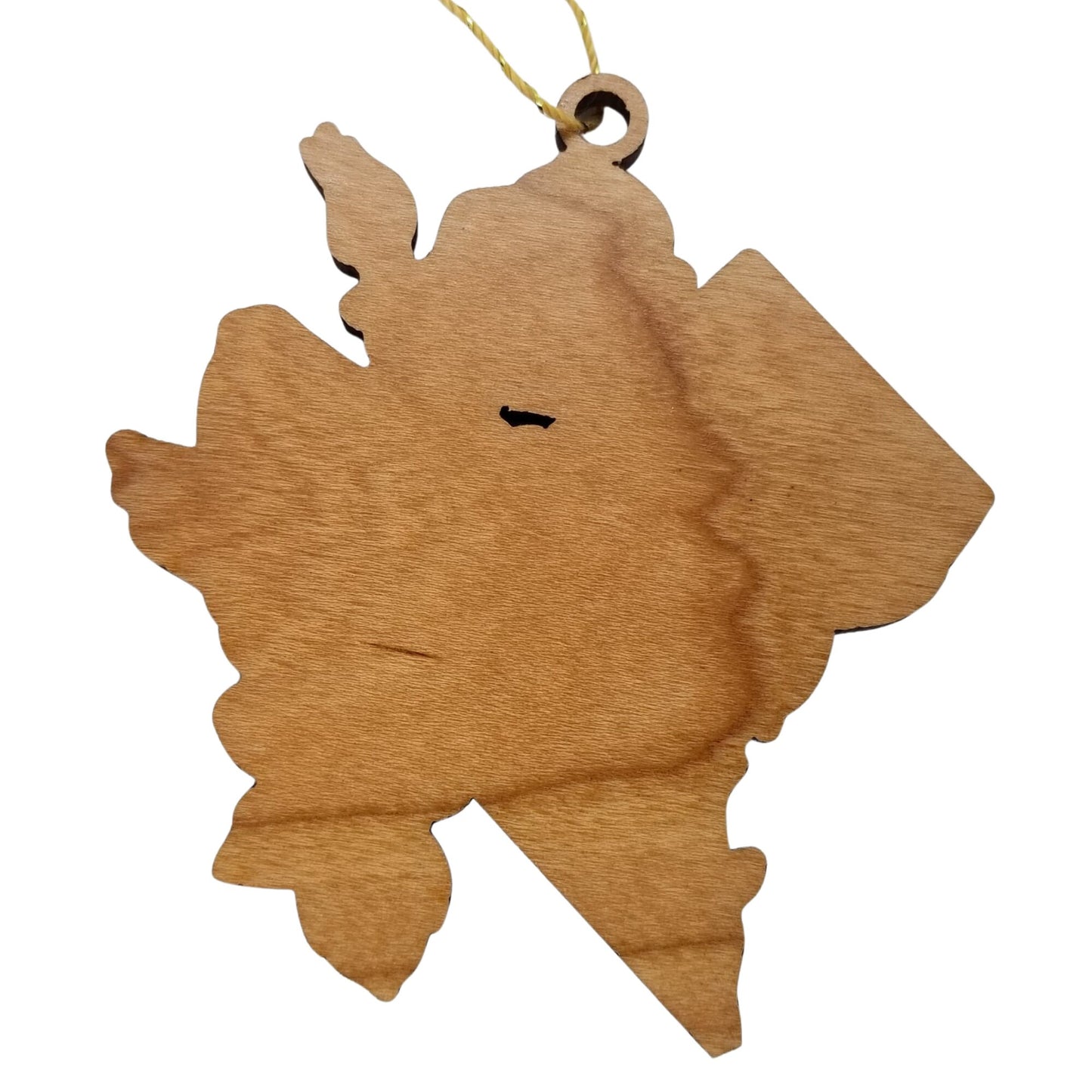 Washington DC Wood Ornament - DC State Shape with State Flowers American Beauty Rose - Handmade Wood Ornament Made in USA Christmas Decor