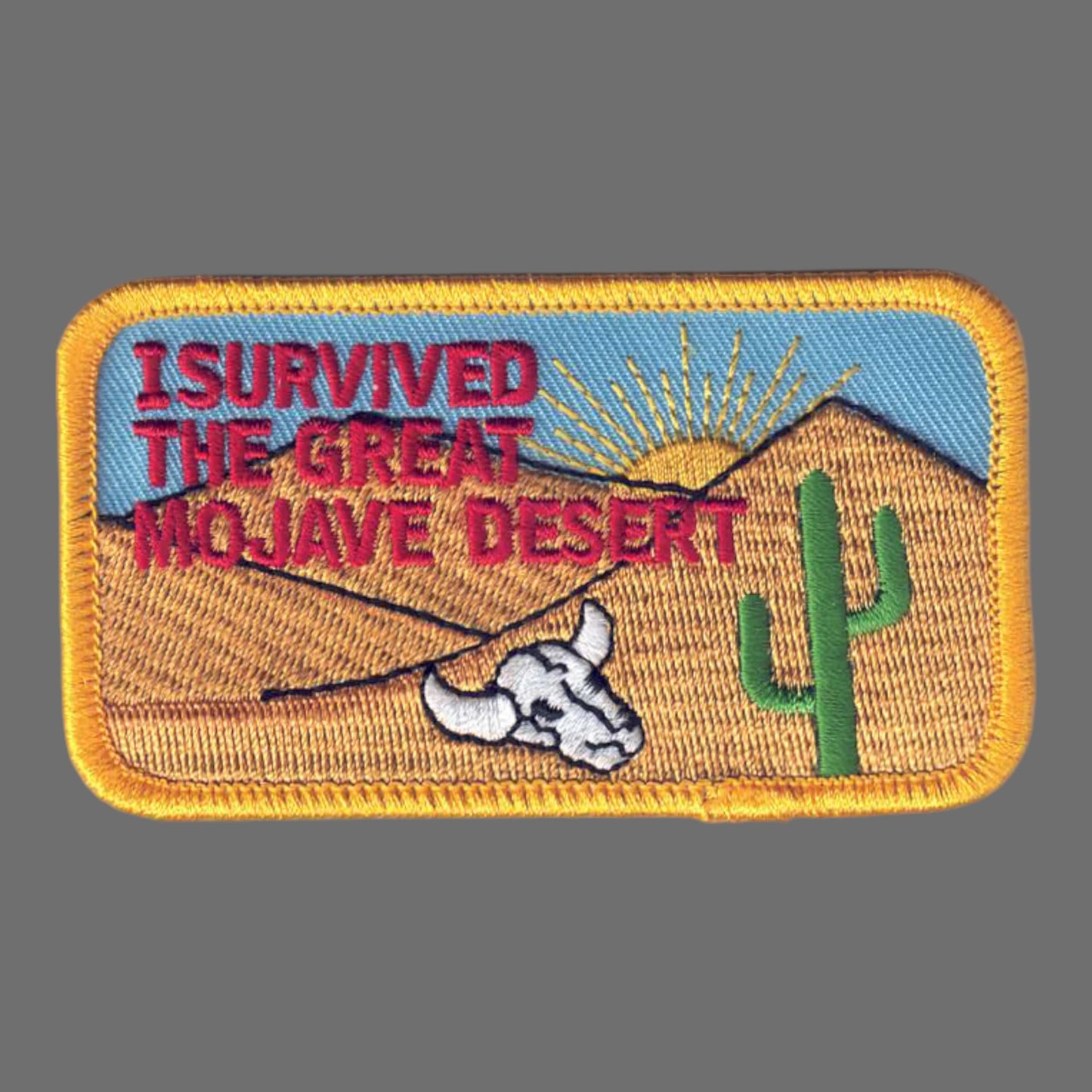 GREAT MOJAVE DESERT Cactus Patch - 4852
