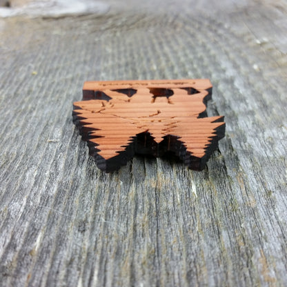 California Redwoods Bear Tree Wood Refrigerator Magnet Souvenir Made in USA - 4002