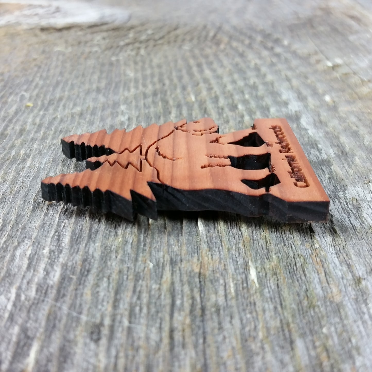 California Redwoods Bear Tree Wood Refrigerator Magnet Souvenir Made in USA - 4002